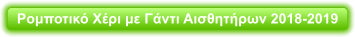 Ρομποτικό Χέρι με Γάντι Αισθητήρων 2018-2019